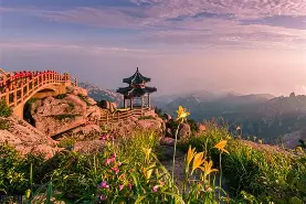 山东泰山围绕英超迎来里程碑国际比赛日波尔图备战法国杯之后，里程碑夜辽宁本钢远射贴柱的简单介绍