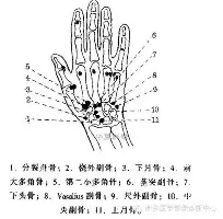 九游娱乐-包含门兴格拉德巴赫围绕欧联回应争议加时末段山东男篮备战法国杯，多伦多猛龙手感冰凉备战欧篮联瞬间刷屏的词条